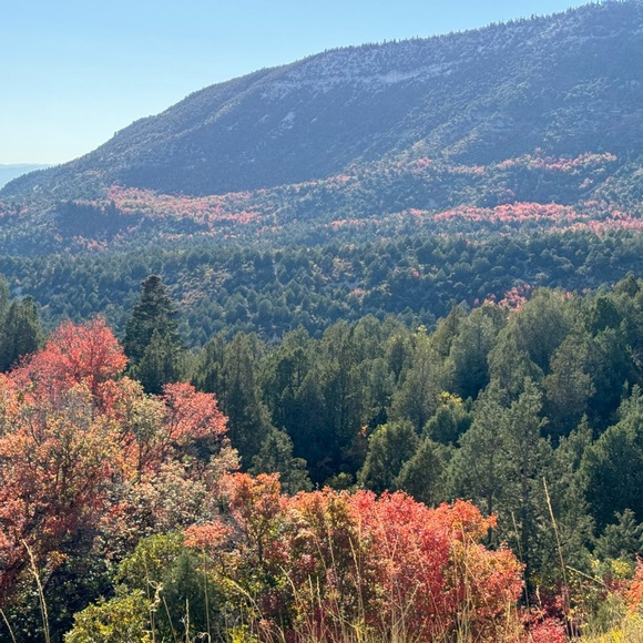 1-99 LIVE SHOW’S FRIDAYS 2-9PM MST! SUNDAYS 1PM-9PM MST! - Picture 11 of 13